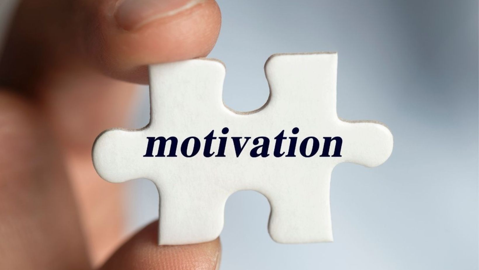 motivational factors