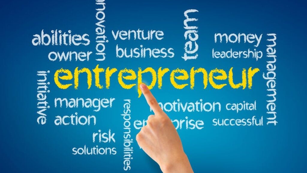 why are entrepreneurs important in a private enterprise system?